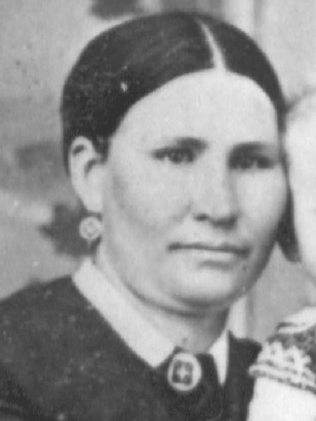 Susannah Harris (1840 - 1917) Profile